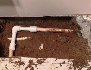 察隅测漏水哪家好