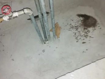 察隅卫生间测漏水价格明细