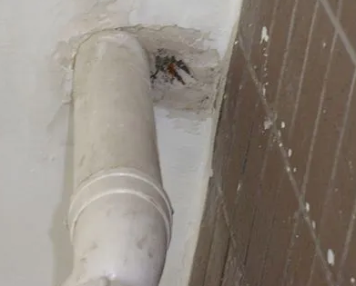 察隅漏水检测哪家好